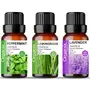 Organix Treasure ack Of 3 Essential Oils in One Combo Pack - Aromatherapy Gift Kit for Diffuser/ Lavender Essential Oil Peppermint Essential Oil and Lemongrass Essential Oil (each 15ml)