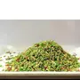 SKYHILL Shahi Green Sweet Mukhwas Mouth Freshener Glass Jar - Pack of 4, 5 image