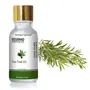 SeGrand Essential Oil Combo of 2 Tea Tree Essential Oil and Natural Jojoba Essential Oil 100% Pure and Natural Extracts (15 ml Each), 5 image