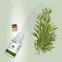 SeGrand Essential Oil Combo of 2  Natural Tea Tree Essential Oil and Natural Eucalyptus Essential Oil 100% Pure and Natural Extracts (15 ml Each), 4 image
