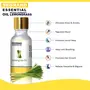 SeGrand Essential Oil Combo of 2 Oils Lavender Oil and LemonGrass Oil 100% Pure and Natural Extracts (15 ml Each), 3 image