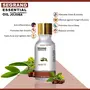 SeGrand Essential Oil Combo of 2 Tea Tree Essential Oil and Natural Jojoba Essential Oil 100% Pure and Natural Extracts (15 ml Each), 9 image