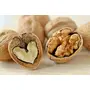 Njoy Chile Jambo Size Inshell Walnuts 500 gms, 7 image