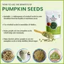 NUTRIDALE Pumpkin Seeds Immunity Booster Premium Raw Pumpkin Seeds 500G, 6 image