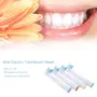Ubervia Pack of 4/Lot Electric Toothbrush Heads Tooth Brush Replacement Teeth Brushes brushes Dental Head Suitable For Braun Vitality EB17-4, 4 image
