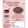 Seema Sun Dried Turkey Berry 100 Grams (sundakkai Vathal)