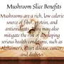 Sarwar Mushroom Slices in Brine 800g, 3 image