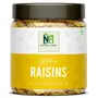 Nature's Ride Premium Raisins (Kishmish) Indian (100 GRAM)