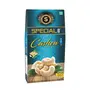 Special Choice Cashew Nuts Roasted And Salted 100g x 3