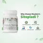 Shushen Herbal Authentic Sitopladi Powder/Churna | Dry And Wet Cough Chest Congestion | Boosts Immunity and Supports Respiratory System | 100% Natural and Ayurvedic - 100 g, 3 image