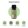 Scentattva.com Relax Essential Oil | 100% Pure and Natural | Therapeutic Grade for Skin Hair Aromatherapy Diffuser Humidifier | 15 Mlsc, 2 image