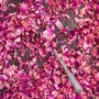 Shirish Masala Sun Dried Rose Petals-100 GMS. (Gulab Patti ) (Edible ), 5 image