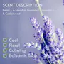 Scentattva.com Relax Essential Oil | 100% Pure and Natural | Therapeutic Grade for Skin Hair Aromatherapy Diffuser Humidifier | 15 Mlsc, 3 image