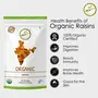 Orgabite Organic Raisins 500g - Organic Kismis, 5 image
