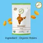 Orgabite Organic Raisins 500g - Organic Kismis, 3 image