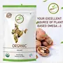 Orgabite Organic Walnut 300g - Organic Akhrot, 6 image