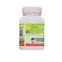 Parampara Ayurved Fast Control Diabetes Care Control The Blood Sugar Lavel Dust 300 Gm, 2 image