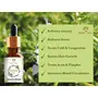 Eden Oils Rosemary Essential Oil 100% Pure Natural Undiluted & Organic for Cough Congestion Steam Inhalation Relaxing Aromatherapy Premium Therapeutic Grade (Rosemary) Pure Aroma 15 ml, 5 image