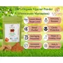 Dr. JPG Organic Vijaysar Bark/Chaal Powder For Diabetic Care-114g | Indian Kino Powder | Pterocarpus Marsupium | INDIA ORGANIC Certified | 100% Organic. (Pack Of 1), 3 image