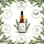 Eden Oils Rosemary Essential Oil 100% Pure Natural Undiluted & Organic for Cough Congestion Steam Inhalation Relaxing Aromatherapy Premium Therapeutic Grade (Rosemary) Pure Aroma 15 ml, 3 image