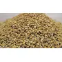 Everpik Pure and Natural Premium Ajwain (Carom Seeds ) 500 g, 6 image
