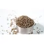 Everpik Pure and Natural Premium Ajwain (Carom Seeds ) 500 g, 4 image