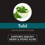 Herb Essential Pure Organic Tulsi (Ocimum tenuiflorum) Powder 227g | Immunity Enhancer NO Preservative added, 2 image