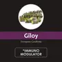 Herb Essential Pure Organic Giloy (Tinospora cordifolia) Powder 227g | Immunity Enhancer NO Preservative added, 2 image