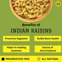 KINGUNCLE's Indian Kishmish (Long Raisins) 500 Grams (2 Packs of 250 Grams Each), 2 image