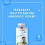 Meadbery Multivitamin and Immunity Gummies For Kids Combo Gift Pack Multiflavored Gluten free Formula With Elderberry Blueberry Vitamin C Vitamin E For Health Immunity 30+30 Gummy Bears, 5 image