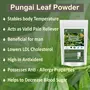 Neotea Pungai Pongamia Pinnata Leaf Powder 300 Gm, 6 image