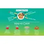 Amwel Organic Multi Veggie Pasta | Fusilli Pasta | No Maida No Sooji | Beetroot Sach & Corn | Rich in Iron & Calcium | 220g, 5 image