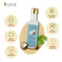 Praakritik Extra Virgin Coconut Oil Organic Natural Vegetarian High in Fibre & Natural Pack of 3 100Ml Each, 4 image