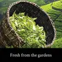 Teamonk Ahina USDA Certified Organic Darjeeling Green Tea - 25 Biodegradable Pyramid Tea Bags Filled With Whole Loose Leaves, 4 image