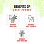 Shri Chyawan Anart Powder |Powder| 5 PC Set(5X20GM), 5 image
