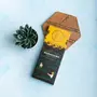 Ambriona Dark Chocolate Gift Box Daarzel Vegan Dark- Peanut Butter with Dark Chocolate Hazelnut Butter Dark Chocolate Ambriona Grenada Maracaibo Signature Blend Ecuador and Daarzel Cranberry & Hazelnut, 4 image