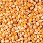 Dry Fruit Hub Popcorn Kernels 800gms Unpopped Popcorn Seeds (Popcorn Party Pack Butter Delite Pop Corn Kernels), 4 image