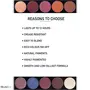 BlushBee Organic Eyeshadow Palette (5 shades), Party Hue - 11.5 Gms., 3 image