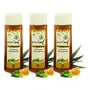 Green Leaf Aloe Body Wash 120ml | Enriched With Honey & Green Tea Extract | Natural Actives & Skin Rejuvenating Pack Of 3
