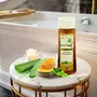 Green Leaf Aloe Body Wash 120ml | Enriched With Honey & Green Tea Extract | Natural Actives & Skin Rejuvenating Pack Of 3, 2 image