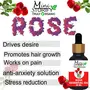 Mini Storify Truly Organic Rose Essential Oil For Home Fragrance Relaxation - 30ml Pack of 1, 2 image