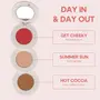 Gush - Stacked In Your Favour | Multipurpose 3-in-1 Face Palette | Cream Blush Contour & Highlighter | Light | Day In Day Out | Dark k Brown Gold | 6.9 gm, 5 image