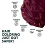 Paradyes Ammonia Free Cruelty Free Vegan DIY application Semi-permanent Hair Color jar only 120gm (Ruby Wine), 5 image