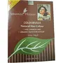 Shahnaz Husain Colourveda Natural Hair Colour Dark Brown 100g, 2 image