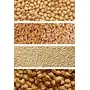 Dr. RBL's Care Atta | Multigrain Flour of Whole Wheat Black Chickpeas Barley Soy | - Pack of 3 Convenient 1500g, 3 image