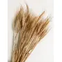 Vanchai Bunch Rustic Wheat Sheaves- 25 STEMS
