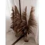 Vanchai Bend Head Natural Pampas Grass, 4ft, Dry Reeds plumes, 2 image