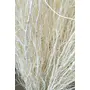 Vanchai 5 STEM 48" LONG Real white curly Willow decor dried Willow, Stems, Stick, 2 image