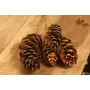 Vanchai Natural Pine cones Tall- 27'' Set of 4, 2 image