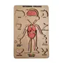NESTA TOYS - Human Body Anatomy Puzzle (14 Pcs) | Montessori Puzzle for Preschoolers Ages 3+, 4 image